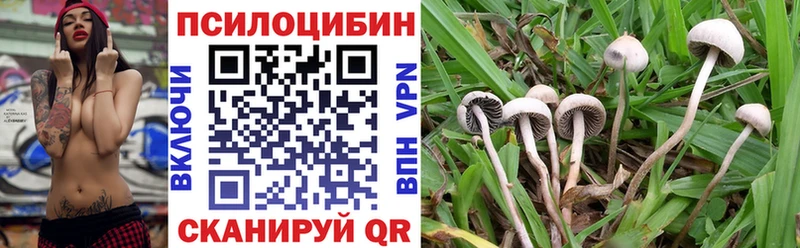 omg как зайти  Вилюйск  Псилоцибиновые грибы мухоморы  цена наркотик 