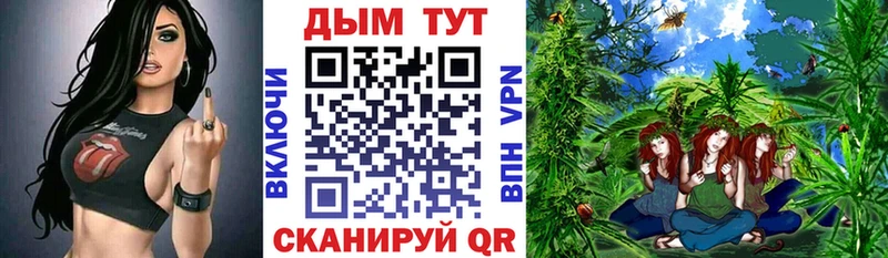 продажа наркотиков  Вилюйск  Бошки марихуана сатива 